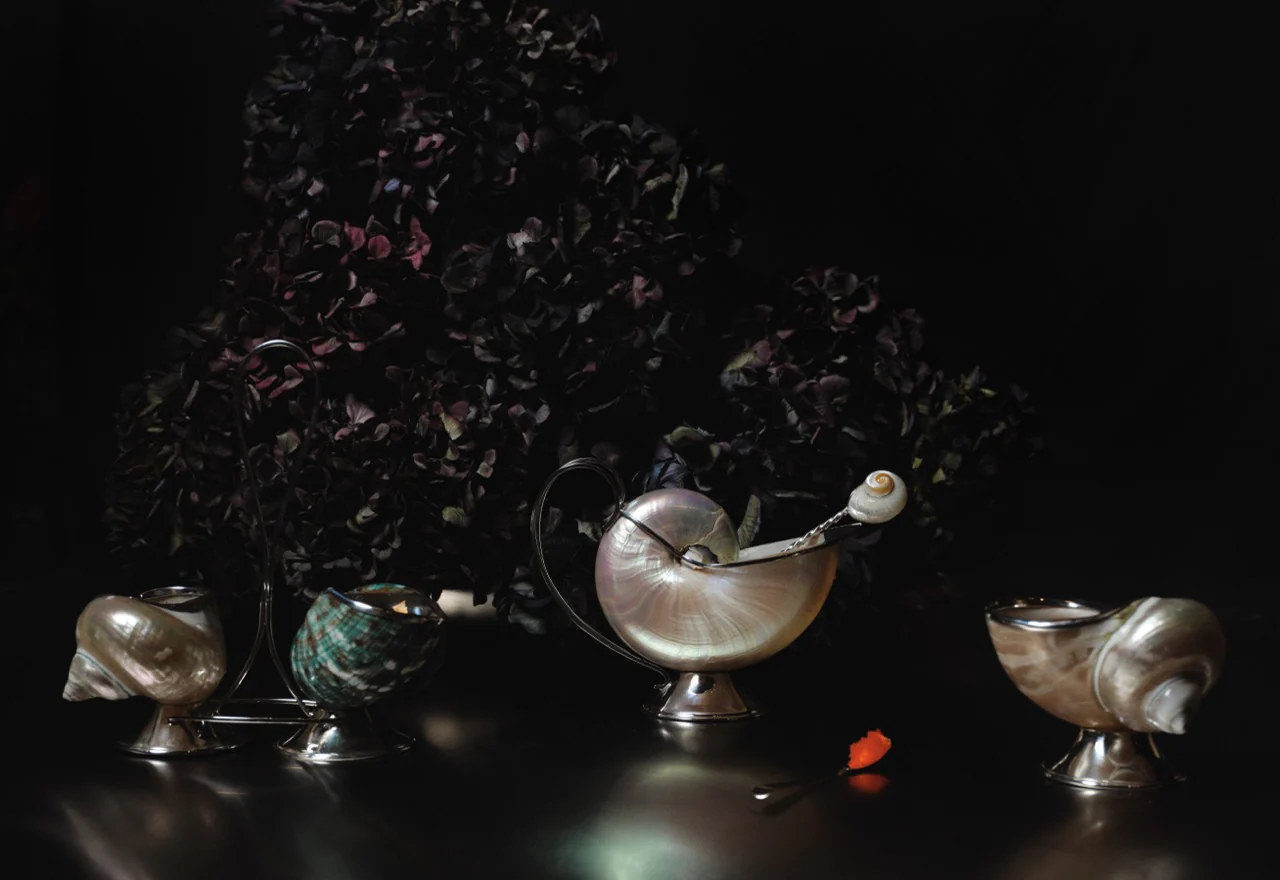 Turbo Shell Gravy Boat - Image 3