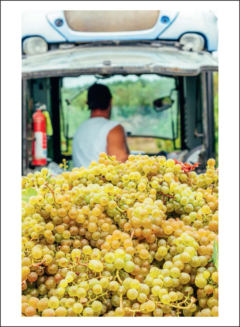 150 Vineyards You Need to Visit Before You Die - Image 4